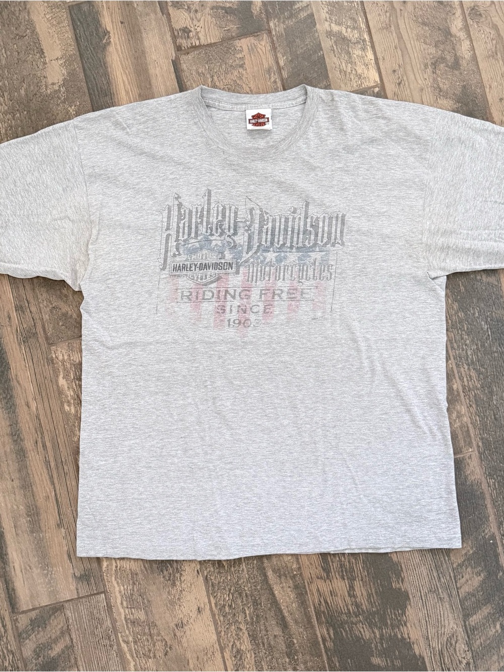 Vintage Harley-Davidson Men’s Gray Graphic T-Shirt Single Stitch